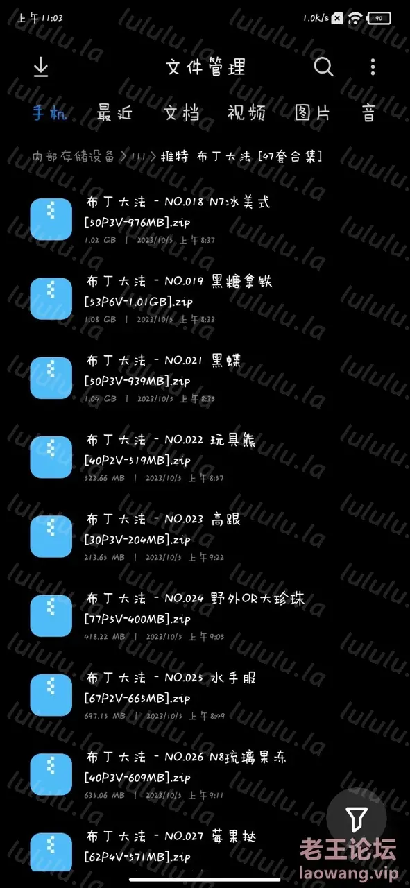 [转载搬运] 布丁大法（47套合集） [。。。+25G][附件下载]-福利岛