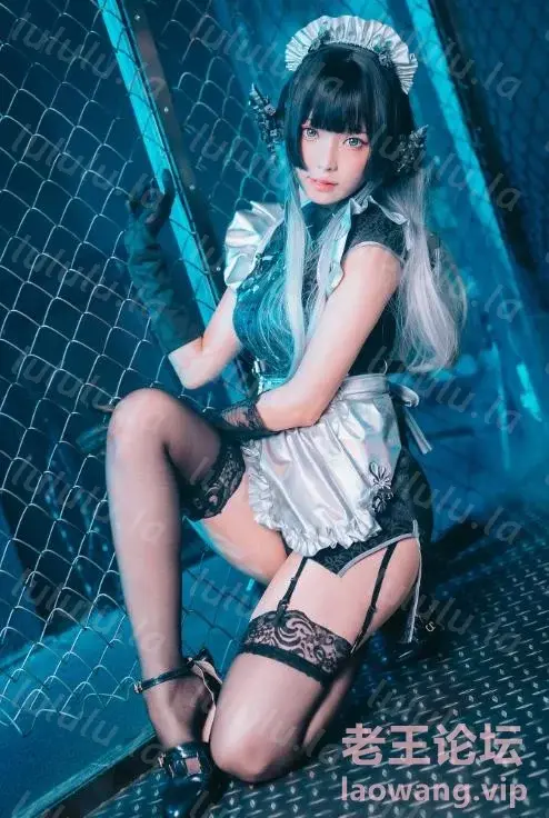 [转载搬运] ElyEE子 - 賽博女僕 Melanite黑榴石  30P-102M  【百度云】 [30P+102M][百度盘]-福利岛