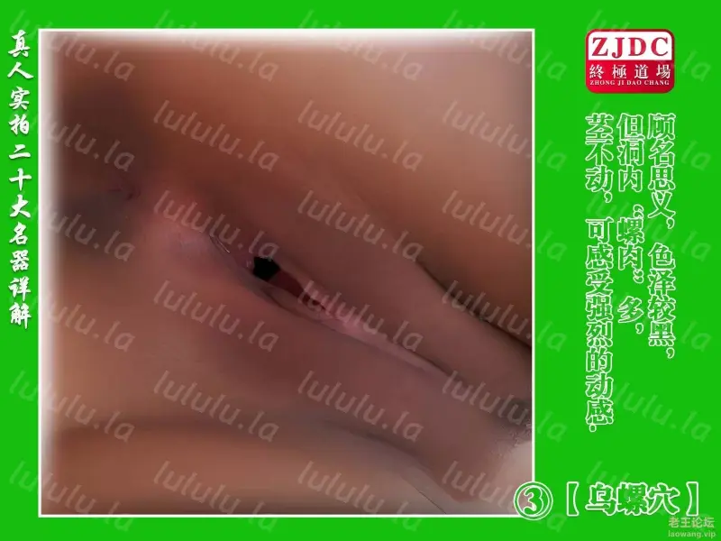 [转载搬运] ㊙️真人实拍二十大名器详解！附收藏整理各大网红白虎... [299P+116MB][其他下载方式]-福利岛