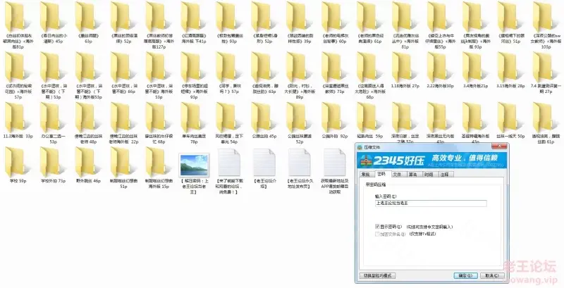 [自行打包] 酒酒老师加海外版大合集阿里盘下载！ [np+nv+8G][bt种子]-福利岛